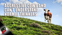 Thumbnail for Aggressive Cows And Can’t Understand Normal Thinkers | Grunt Speak Highlights