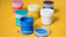 Thumbnail for Phthalates explained | Harvard University