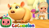 Thumbnail for Lost Hamster | CoComelon Nursery Rhymes & Kids Songs | Cocomelon - Nursery Rhymes