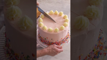 Thumbnail for How to Cut a Round Cake | Preppy Kitchen