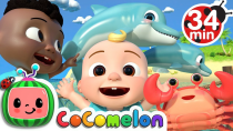 Thumbnail for Sea Animal Song + More Nursery Rhymes & Kids Songs - CoComelon