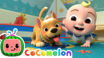 Thumbnail for Pet Care Song | CoComelon Nursery Rhymes & Kids Songs | Cocomelon - Nursery Rhymes