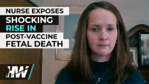Thumbnail for Nurse Exposes Shocking Rise In Post-"Vaccine" Fetal Death - The Highwire