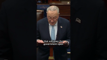 Thumbnail for Schumer: We're NOT bailing Trump, GOP out | MSNBC