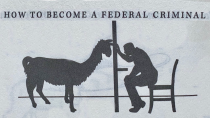 Thumbnail for You Can Get 5 Years in Prison for Selling Llama Poop. A Chronicle of Our Most Ludicrous Laws
