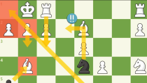 Thumbnail for 10 Advanced Chess Moves | Bobby BoJanglles