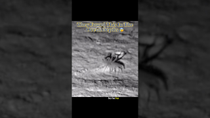 Thumbnail for They Found This In The Ocean Depths 😨 #interesting | IdkSterling