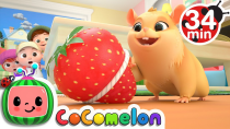 Thumbnail for Lost Hamster + More Nursery Rhymes & Kids Songs - CoComelon