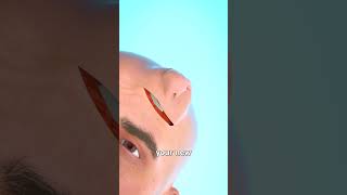 Thumbnail for Growing A Nose On Your Forehead 😱 | Zack D. Films