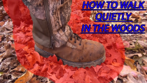 Thumbnail for Your biggest mistake when walking through woods... Explained | David Dudley Outdoors