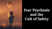Thumbnail for Fear Psychosis and the Cult of Safety - Why are People so Afraid? | Academy of Ideas