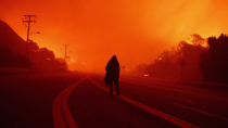 Thumbnail for Malibu wildfires force more than 20,000 residents to evacuate | Sky News Australia