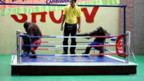 Thumbnail for Orangutan Boxing | somongkol