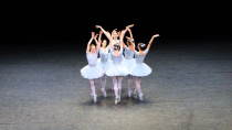 Thumbnail for Vienna State Opera, funny ballet. Слава Україні! | megawolff71