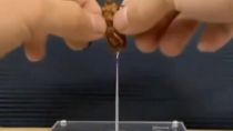 Thumbnail for Popular mechanics for kids - Here's what happens when you impale a cockroach on a plasma stick.