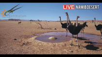 Thumbnail for Namibia: Live stream in the Namib Desert | NamibiaCam