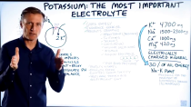 Thumbnail for POTASSIUM: The Most Important Electrolyte