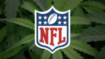 Thumbnail for The NFL Should Let Players Use Marijuana
