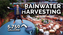 Thumbnail for How I Capture 5,750+ Gallons of Rainwater For My Garden | Epic Gardening