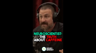 Thumbnail for Neuroscientist: Truth About Caffeine | Andrew Huberman #joerogan #shorts | Neuro Lifestyle
