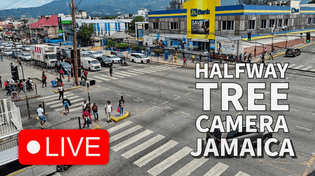 Thumbnail for 🟢 Half Way Tree LIVE – Jamaica’s Busiest Transport Centre 24/7 | See Jamaica 