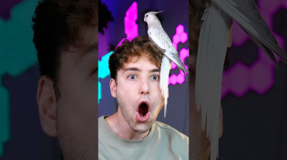 Thumbnail for Disney Theory Part 7 | Juan Bergman