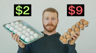 Thumbnail for Are Expensive Eggs actually worth it? | Ethan Chlebowski