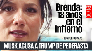 Thumbnail for #EnVivo ¬ #LosPeriodistas ¬ El pleito Trump-Musk ¬ Maestros en llamas ¬ Habla Brenda Quevedo | SinEmbargo Al Aire