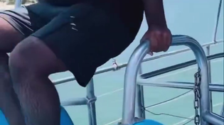 Thumbnail for Why so many Indians drown in Australia 