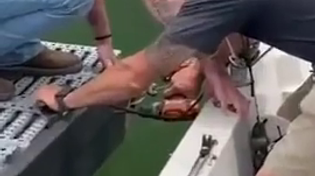 Thumbnail for dangus and dwb fixing things