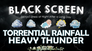 Thumbnail for FALL ASLEEP FAST with TORRENTIAL RAINFALL & HEAVY THUNDER to DEFEAT Stress at Night After a Long Day | Outside The Window