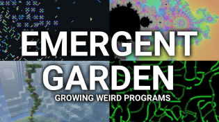 Thumbnail for I Quit my Job to make Weird Programs | Emergent Garden