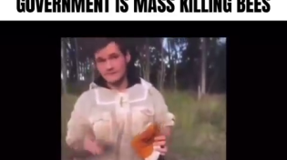 Thumbnail for  BEEKEEPER CLAIMS AUSTRALIAN GOVERNMENT IS MASS KILLING BEES