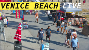Thumbnail for 🔴 Venice Beach Live Camera · Los Angeles Live Stream · presented by the Venice V Hotel | Teleport.camera