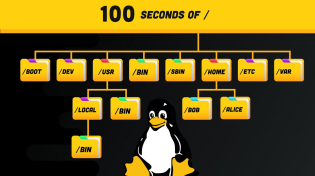 Thumbnail for Linux Directories Explained in 100 Seconds | Fireship