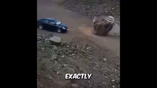 Thumbnail for He knew exactly what to do | FunnyMemeSpot