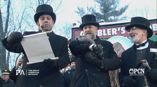 Thumbnail for Punxsutawney Phils Prediction