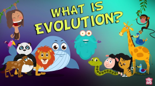 Thumbnail for What is Evolution? | The Dr. Binocs Show | Best Learning Videos For Kids | Peekaboo Kidz