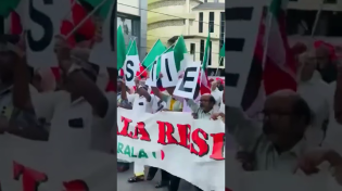 Thumbnail for India protesting in support of #gaza but they are waving Italian flag not #palestinian  flags 🤣💀 | nwosparrow