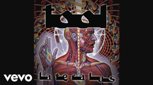 Thumbnail for TOOL - Reflection (Audio) | TOOLVEVO