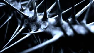 Thumbnail for Wumpscut - Thorns (distant vocals version) | xyzyx3