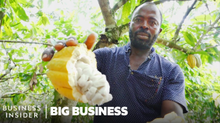 Thumbnail for Ghana Grows Our Cocoa, So Why Can’t It Make Chocolate? | Big Business | Insider Business