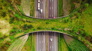 Thumbnail for The Hidden Engineering of Wildlife Crossings | Practical Engineering