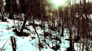 Thumbnail for Corb Lund - Gettin' Down on the Mountain (Online Exclusive) | Corb Lund