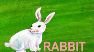 Thumbnail for Learn the ABCs: "R" is for Rabbit | Cocomelon - Nursery Rhymes