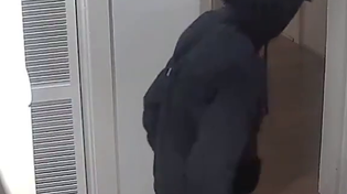 Thumbnail for Niggers with machetes invade a house in Sydney at 3 am. Guard cat doesn't do anything. 
