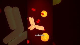 Thumbnail for How Antivenom Saves Lives 😮 | Zack D. Films