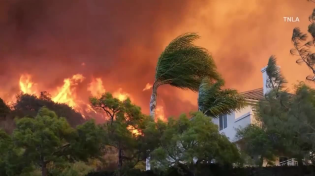 Thumbnail for Pacific Palisades wildfire is most destructive in LA history with at least 1,000 structures burne... | KSBW Action News 8