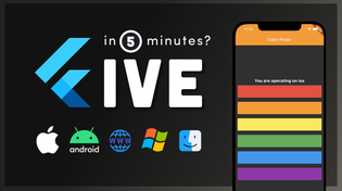 Thumbnail for Build 5 Apps in 5 Minutes with Flutter… But should you? | Fireship