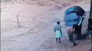 Thumbnail for Tired of seeing pajeets abuse elephants? Watch this creature get its revenge by folding the jeet, crushing his bones, squeezing the poo out of him, and tossing him like a ragdoll.